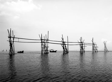 Malaisie, sur l'île de Bornéo, près du parc National de Bako.