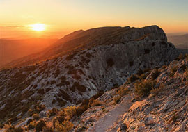 Au petit matin au sommet de la Sainte-Victoire, du pied de la Croix de provence. Les moutons ont déjè attaqués le petit déjeuner !